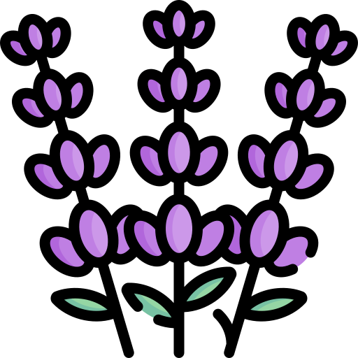 lavanda
