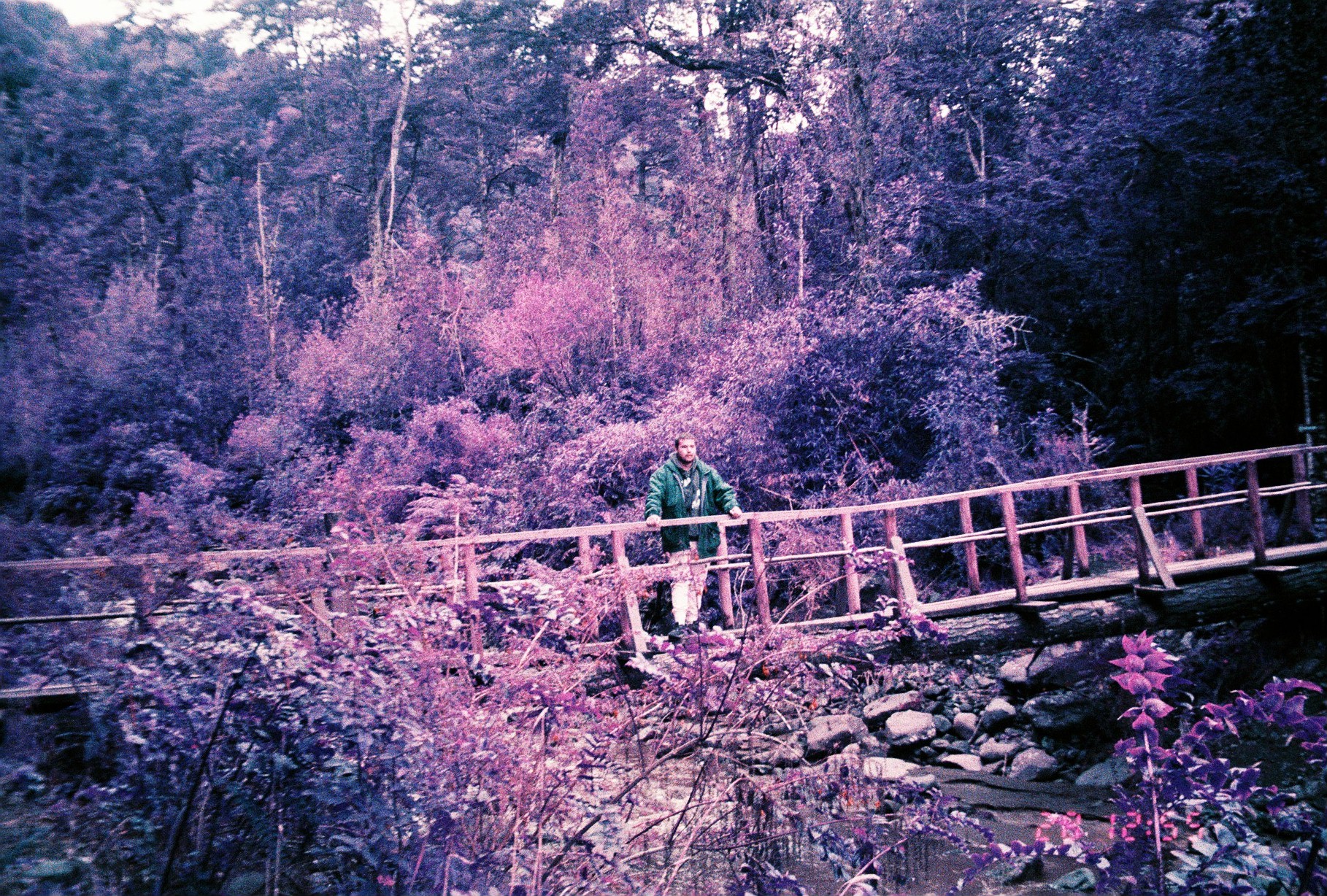 Lomochrome Purple