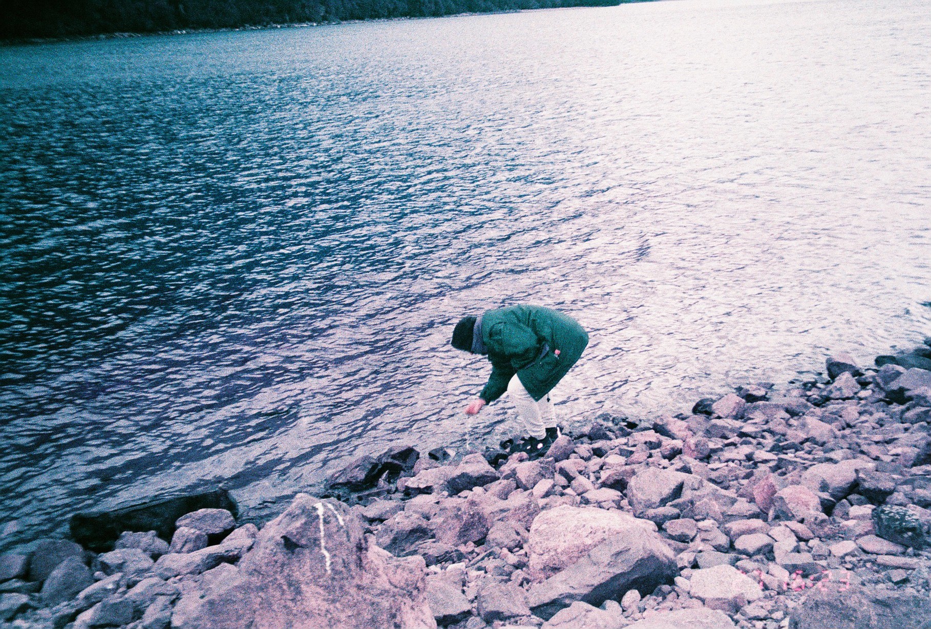Lomochrome Purple