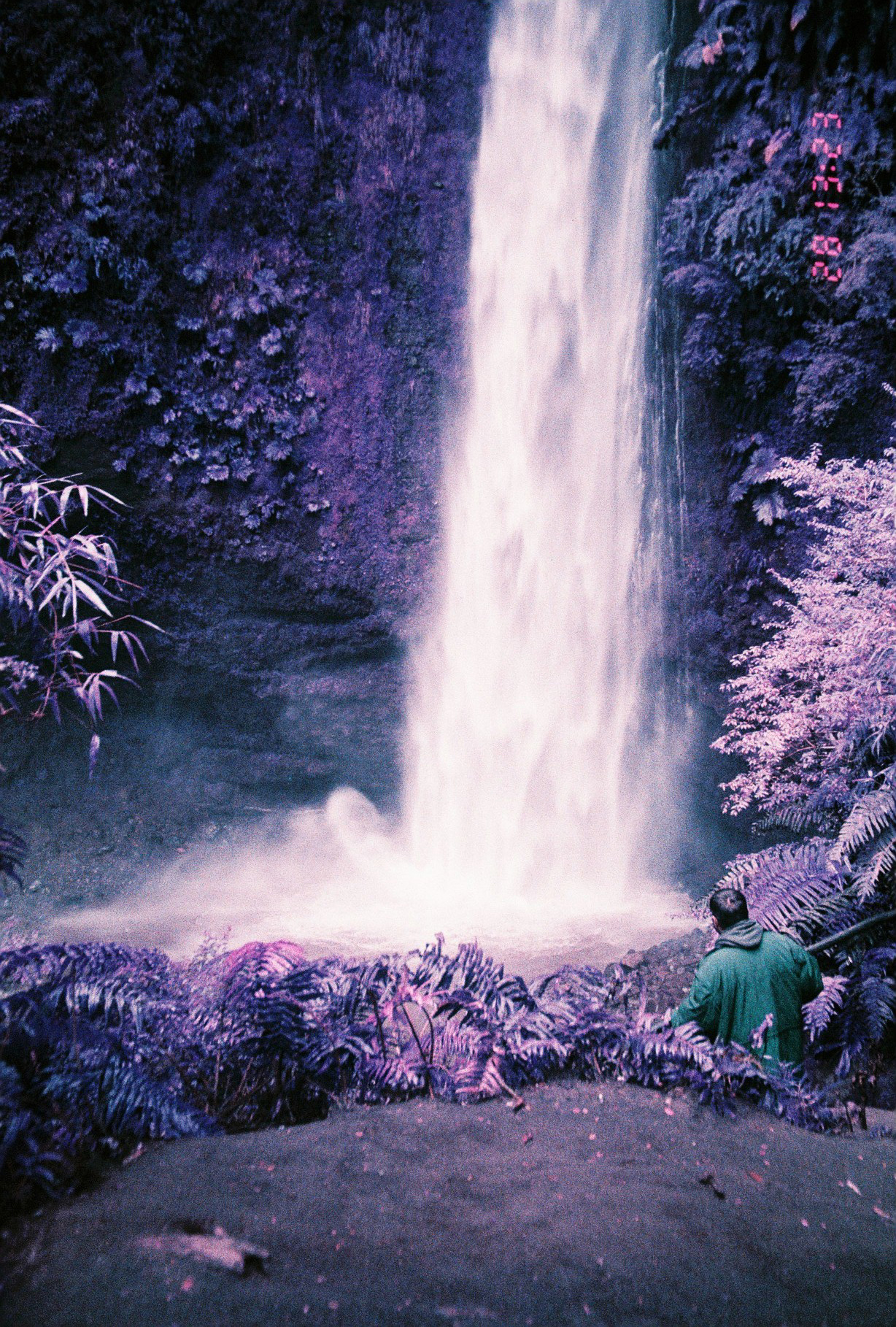 Lomochrome Purple
