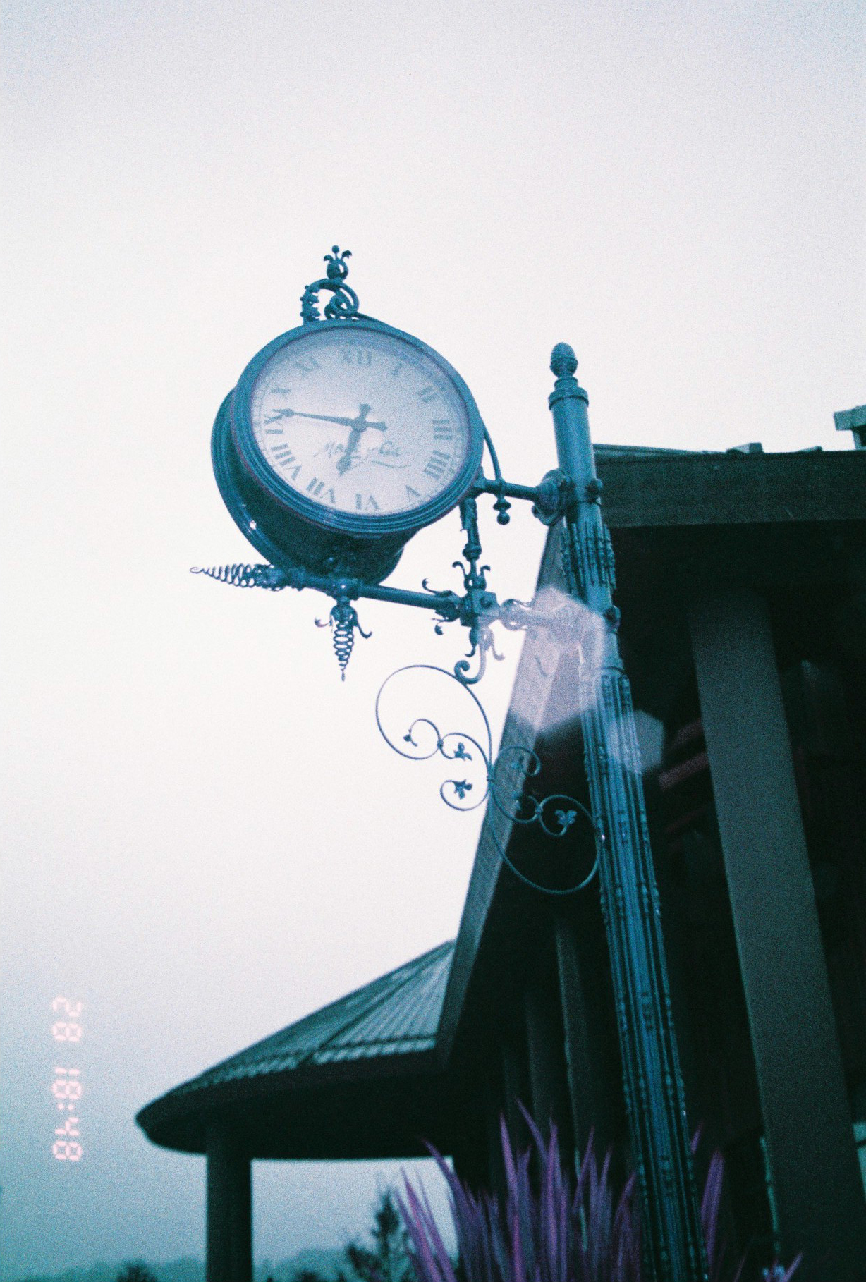Lomochrome Purple