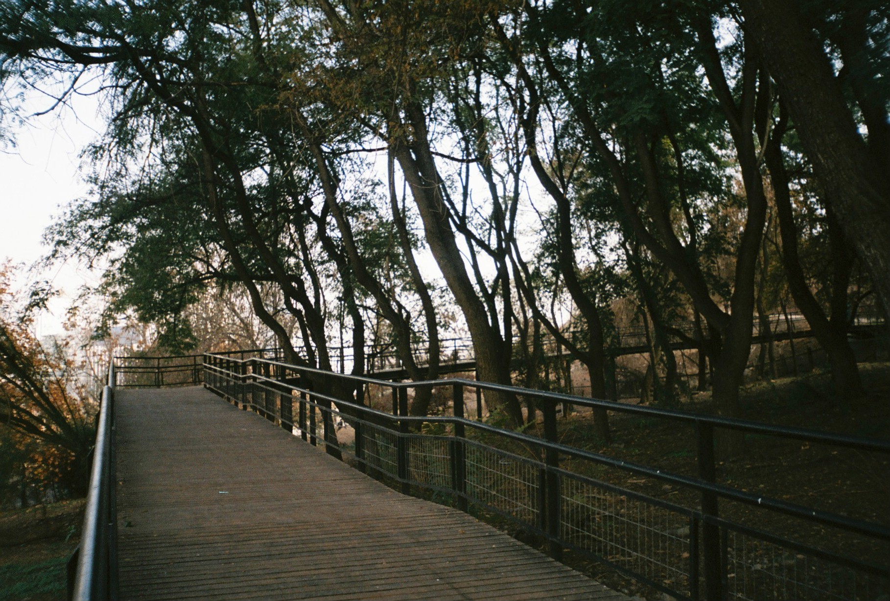 Santiago