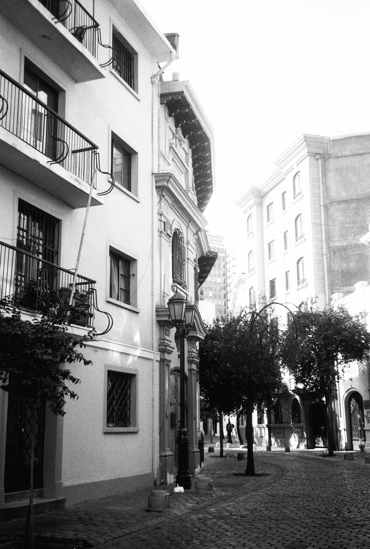 Blanco & Negro