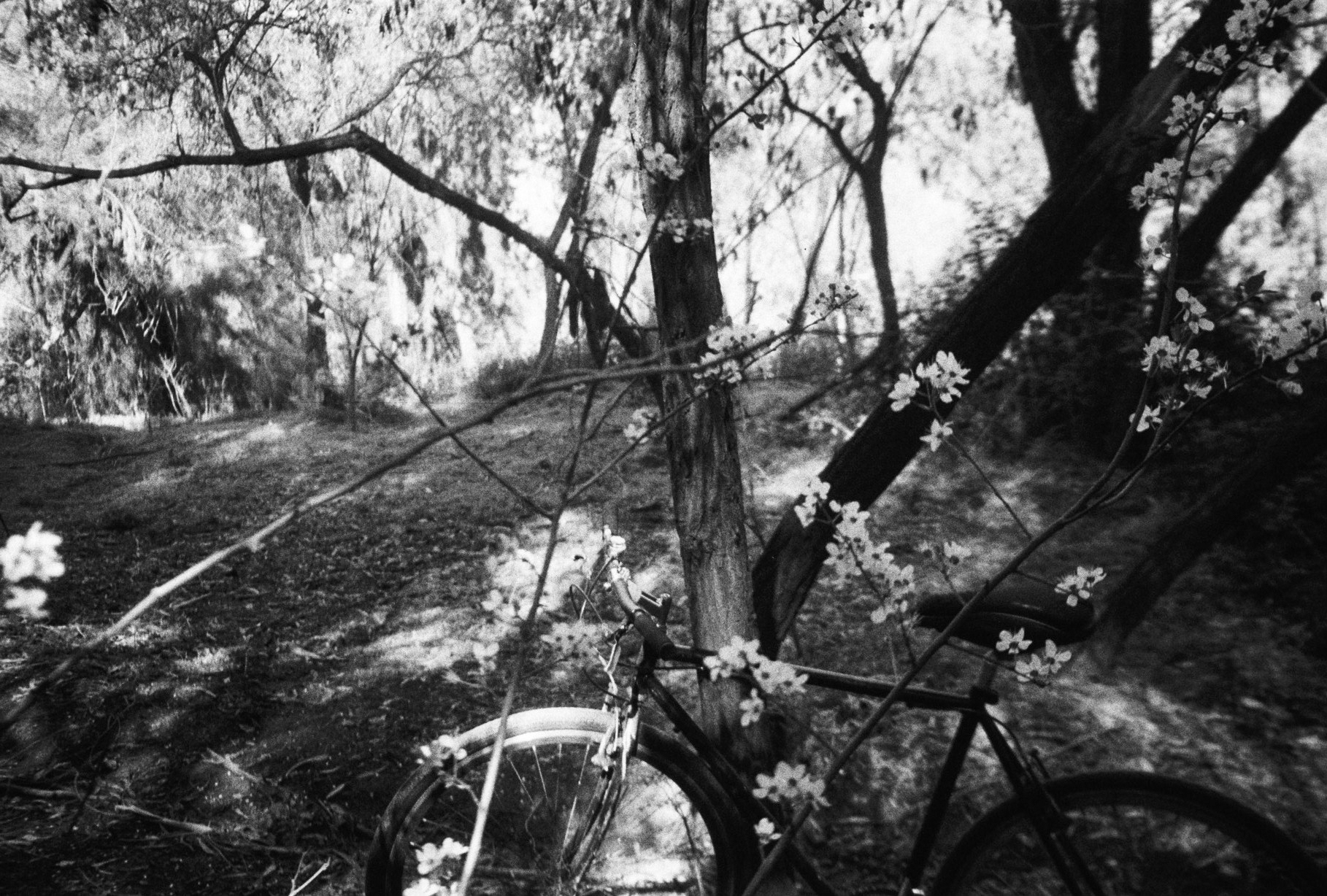 Blanco & Negro